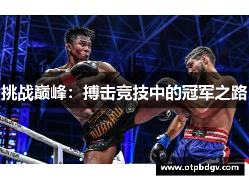 挑战巅峰：搏击竞技中的冠军之路