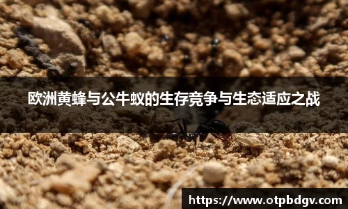 NG相信品牌的力量官网